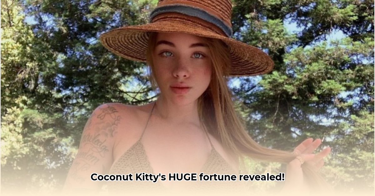 coconut-kitty-net-worth